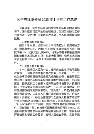 区生态环境分局2025年上半年工作总结