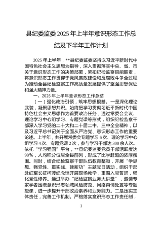 县纪委监委2025年上半年意识形态工作总结及下半年工作计划