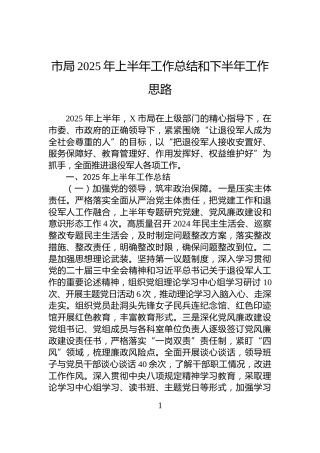 市局2025年上半年工作总结和下半年工作思路