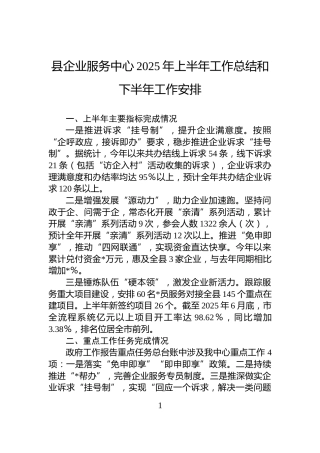 县企业服务中心2025年上半年工作总结和下半年工作安排