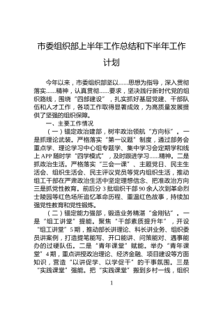 市委组织部上半年工作总结和下半年工作计划