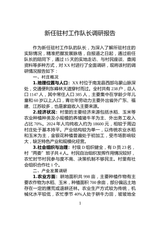 新任驻村工作队长调研报告