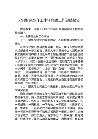 XX局2025年上半年党建工作总结报告