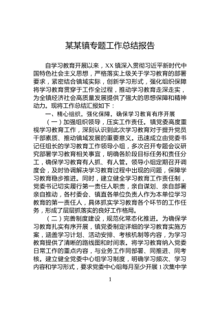 某某镇专题工作总结报告