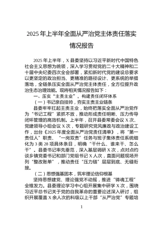 2025年上半年全面从严治党主体责任落实情况报告
