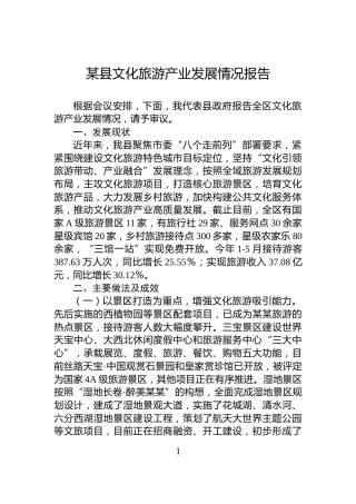 某县文化旅游产业发展情况报告