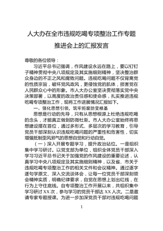 人大办在全市违规吃喝专项整治工作专题推进会上的汇报发言