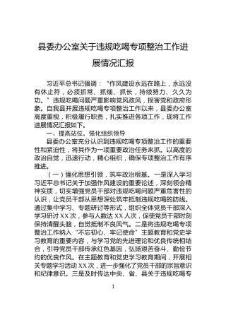 县委办公室关于违规吃喝专项整治工作进展情况汇报