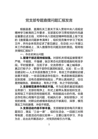 党支部专题查摆问题汇报发言