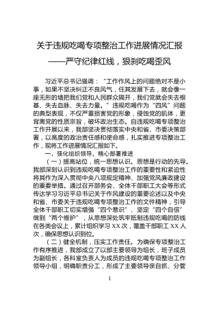 关于违规吃喝专项整治工作进展情况汇报——严守纪律红线，狠刹吃喝歪风