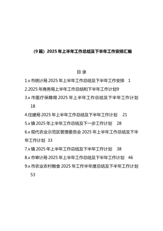 2025年上半年工作总结及下半年工作安排汇编（9篇）