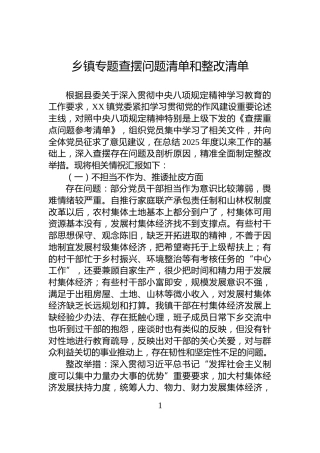 乡镇专题查摆问题清单和整改清单