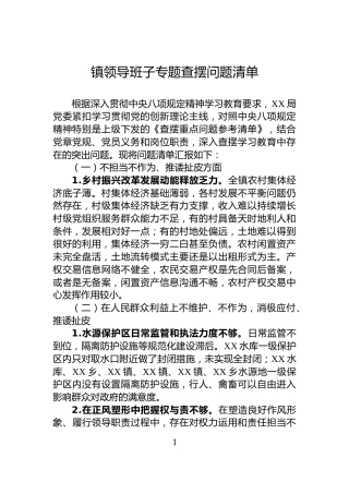 镇领导班子专题查摆问题清单