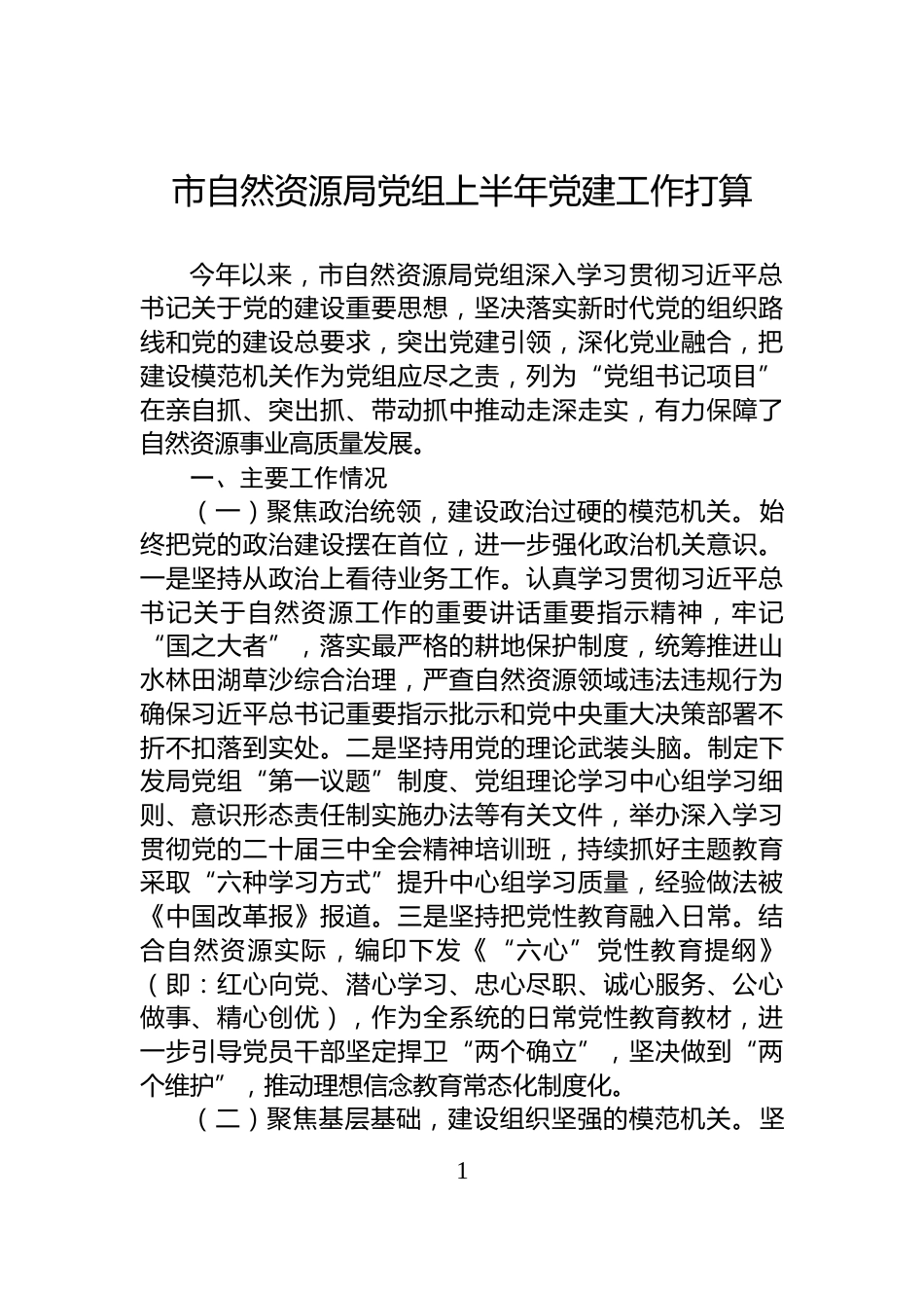 市自然资源局党组上半年党建工作打算_第1页