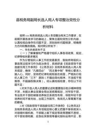县税务局副局长选人用人专项整治党性分析材料