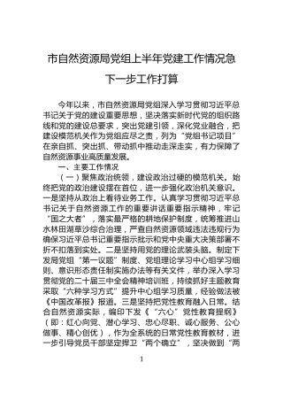 市自然资源局党组上半年党建工作情况急下一步工作打算