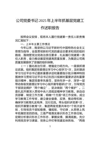 公司党委书记2025年上半年抓基层党建工作述职报告