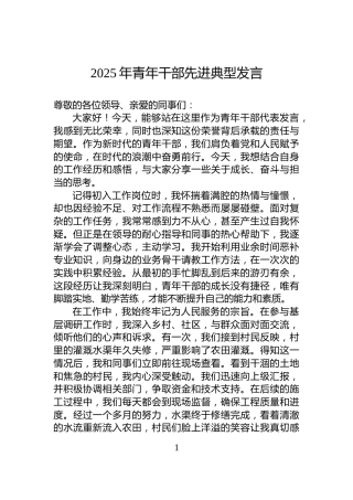 2025年青年干部先进典型发言