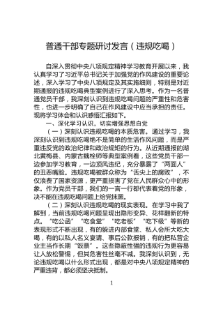 普通干部专题研讨发言（违规吃喝）