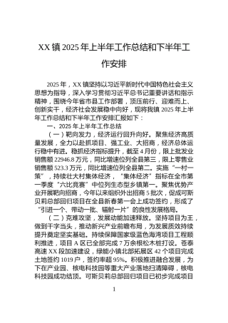 XX镇2025年上半年工作总结和下半年工作安排