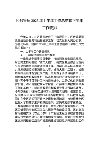 区数管局2025年上半年工作总结和下半年工作安排