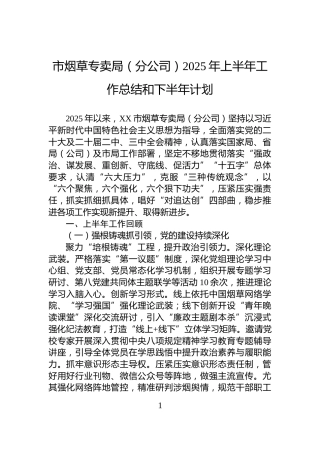 市烟草专卖局（分公司）2025年上半年工作总结和下半年计划