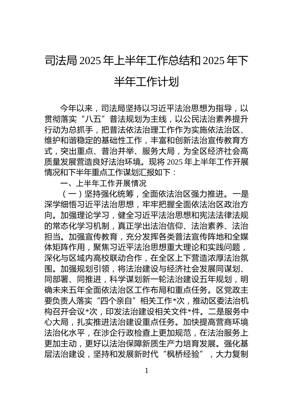 司法局2025年上半年工作总结和2025年下半年工作计划_第1页