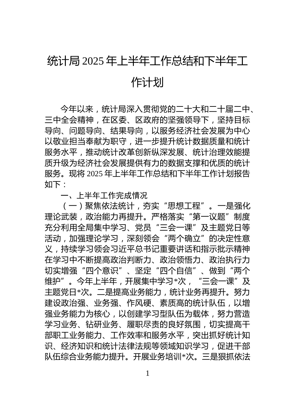 统计局2025年上半年工作总结和下半年工作计划_第1页