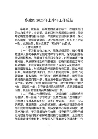 乡政府2025年上半年工作总结