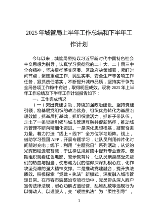 2025年城管局上半年工作总结和下半年工作计划