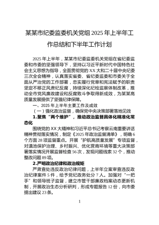 某某市纪委监委机关党组2025年上半年工作总结和下半年工作计划