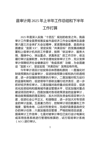 县审计局2025年上半年工作总结和下半年工作打算