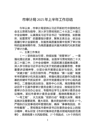 市审计局2025年上半年工作总结