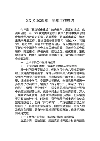 XX乡2025年上半年工作总结