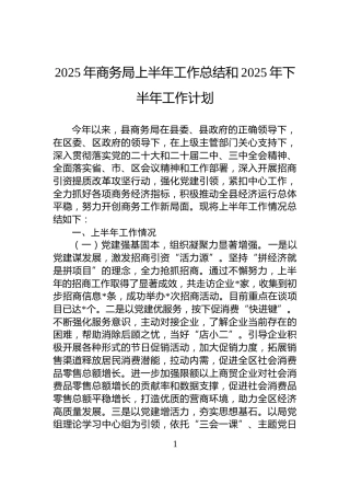 2025年商务局上半年工作总结和2025年下半年工作计划