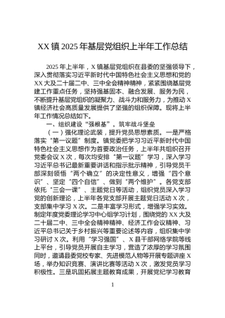 XX镇2025年基层党组织上半年工作总结