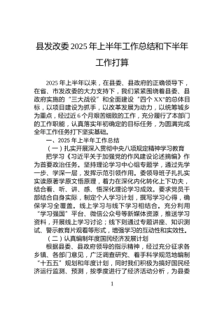 县发改委2025年上半年工作总结和下半年工作打算