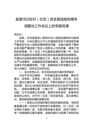 县委书记在村（社区）党支部违规吃喝专项整治工作会议上的专题党课