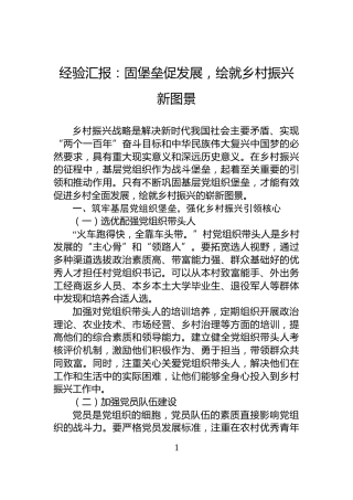 经验汇报：固堡垒促发展，绘就乡村振兴新图景