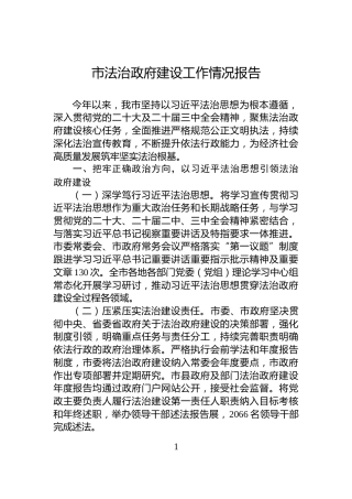 市法治政府建设工作情况报告