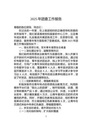2025年团委工作报告