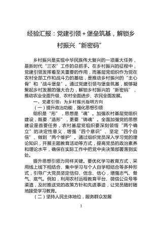 经验汇报：党建引领＋堡垒筑基，解锁乡村振兴“新密码”