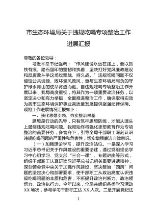 市生态环境局关于违规吃喝专项整治工作进展汇报