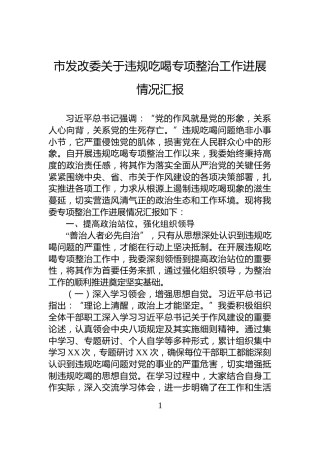 市发改委关于违规吃喝专项整治工作进展情况汇报