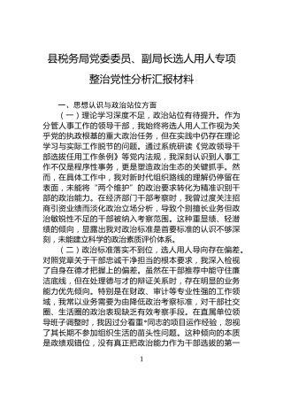 县税务局党委委员、副局长选人用人专项整治党性分析汇报材料