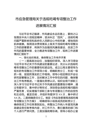 市应急管理局关于违规吃喝专项整治工作进展情况汇报