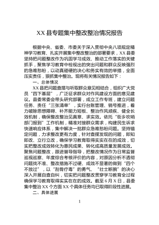 XX县专题集中整改整治情况报告