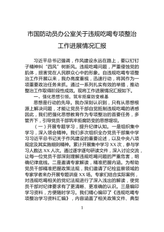 市国防动员办公室关于违规吃喝专项整治工作进展情况汇报