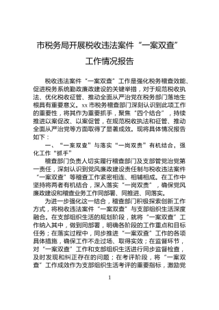 市税务局开展税收违法案件“一案双查”工作情况报告