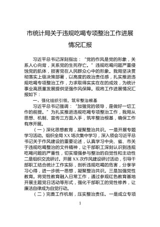 市统计局关于违规吃喝专项整治工作进展情况汇报